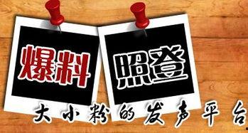 重庆新闻爆料投稿平台,聚焦城市脉搏，共筑舆论监督桥梁